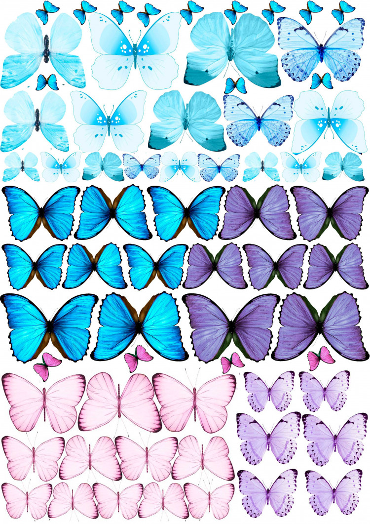 Розово голубая бабочка. Вафельные бабочки. Макет бабочки для торта. Бабочки розово голубые. Вафельные бабочки сиреневые.