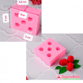 Молд Малина