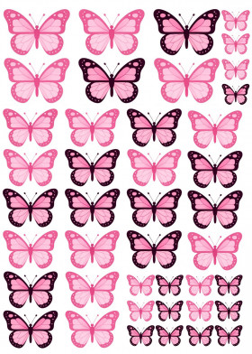 Бабочки Розовые с темным контуром А4, 