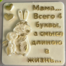 Форма силиконовая "4 буквы длиною в жизнь" 