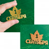 Декор из акрила "1 Сентября", 6 см / 1 шт