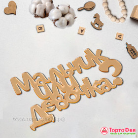 Декор из акрила "Мальчик или девочка?", золотой   / 10х6 см