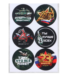 Набор наклеек "Защитнику", 6 шт