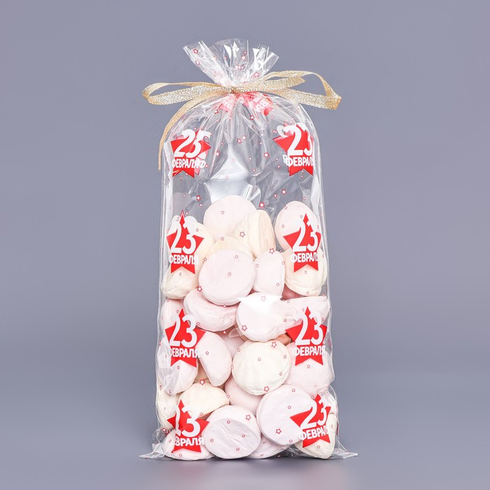 Пакеты прозрач. с рисунком 15х30 см "23 Февраля" / 10 шт